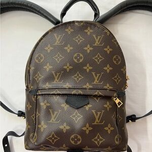 LV Louis Vuitton Palm Springs Backpack Bag